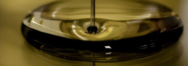 Santé animale – Soins aux huiles essentielles : stimuler les défenses immunitaires