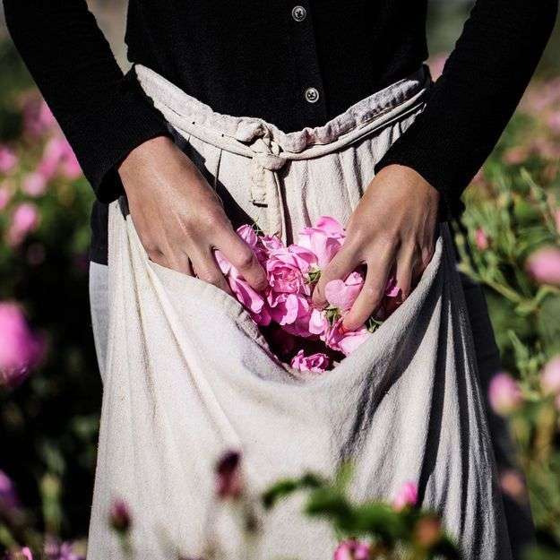 GRASSE, CAPITALE MONDIALE DU PARFUM